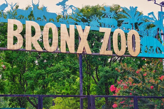 Free Admission Bronx Zoo