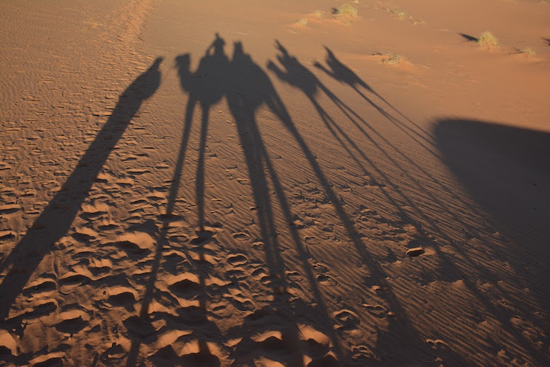 Morocco Desert Tour Camel Riding Shadows